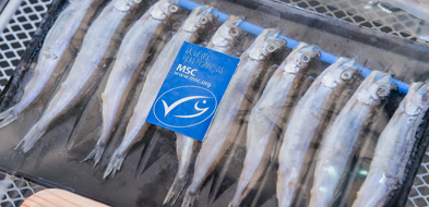 2022春季全球高端食品展览会(2022深圳全食展)倒计时：52天(图1)